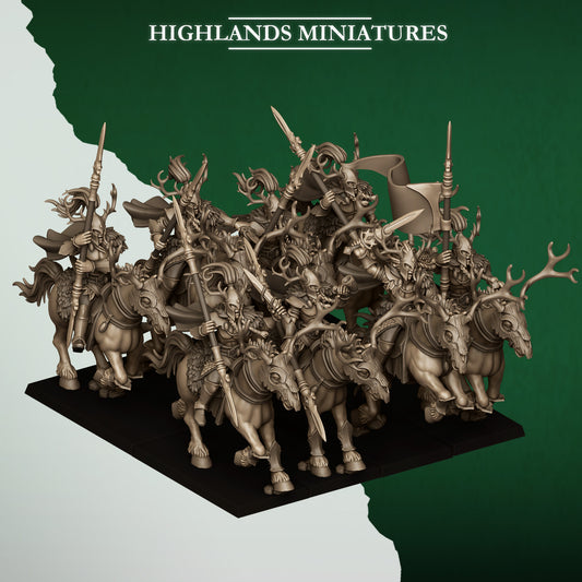 Forest Riders